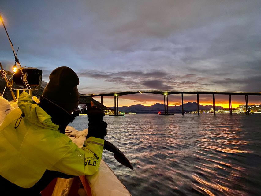 1 Hour Photo & History Cruise - Passing beneath Tromsø Bridge