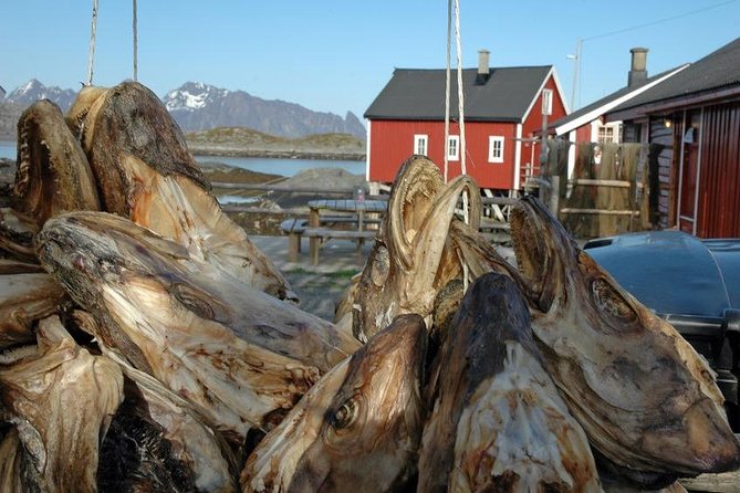 2-Day Lofoten Highlights Photo Tour (Summer) - Why this small photo tour works well in Lofoten