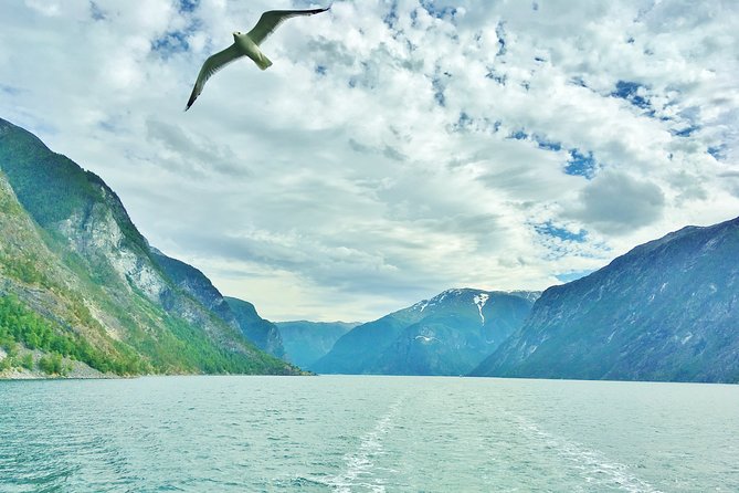 2-Day Round Trip from Bergen: THE GRAND SOGNEFJORD – fjords, waterfalls, glacier - Flåm, Flåmsbana, and the view from Stegastein