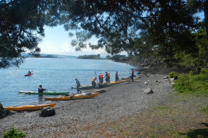 2- hour kayak trip on the Oslo Fjord - Why this Oslo kayak trip is worth considering