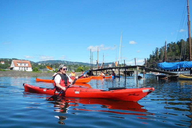 2- hour kayak trip on the Oslo Fjord - Houseboats, wildlife, and the Oslofjord view