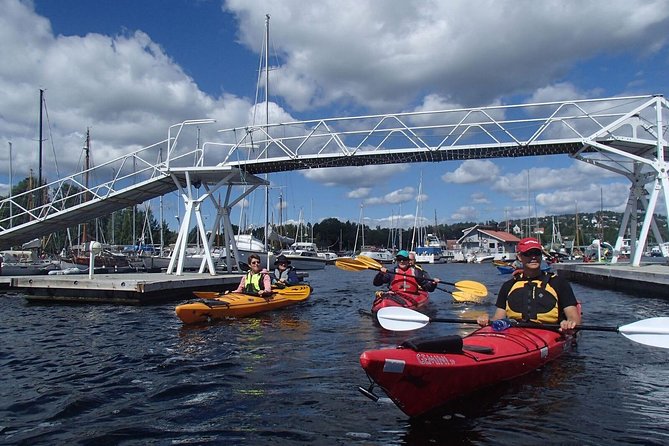 2- hour kayak trip on the Oslo Fjord - What two hours really gives you