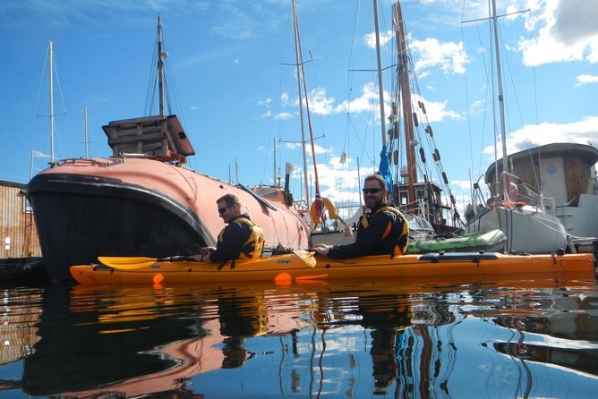 2- hour kayak trip on the Oslo Fjord - Who should book this outing?