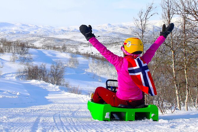 2-Hour Racing Toboggan at Dagali Fjellpark near Geilo in Norway - Safety without taking the fun away