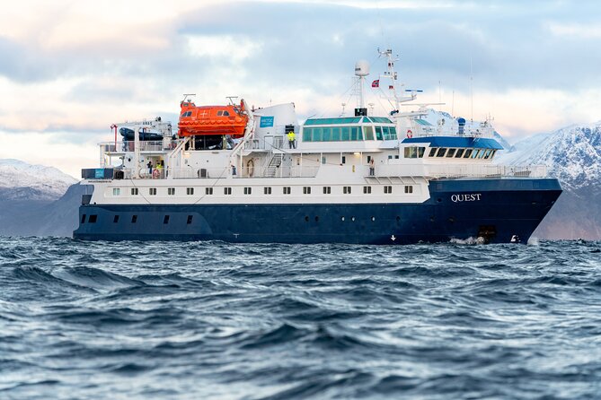 24hr Northern Lights & Whale Watching Cruise - Leaving Tromsø at 8:00 PM