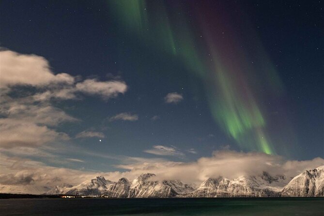 24hr Northern Lights & Whale Watching Cruise - The Panorama Lounge Adds Useful Context