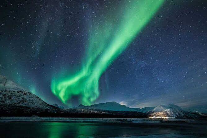 24hr Northern Lights & Whale Watching Cruise - Morning Near Skjervøya and the Whale Search