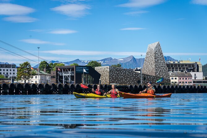 3-Hour Kayak Tour in Åndalsnes - Guidance that goes beyond paddling