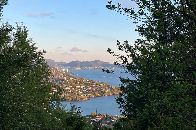 3-Hour Private Norwegian Hiking Experience with Local Guide - The summit views over Bergen and the fjord