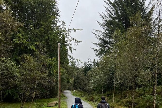 3-Hour Private Tour Hiked through the Bergen Mountains - Starting beside the Fløibanen in central Bergen