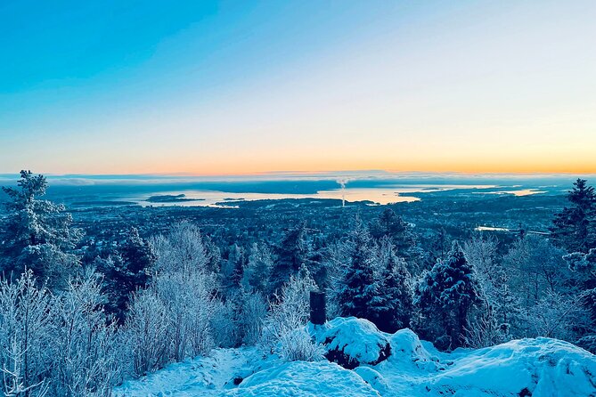 4 hours Best View of the Oslofjord Winter Edition - The Frognerseteren metro ride into winter