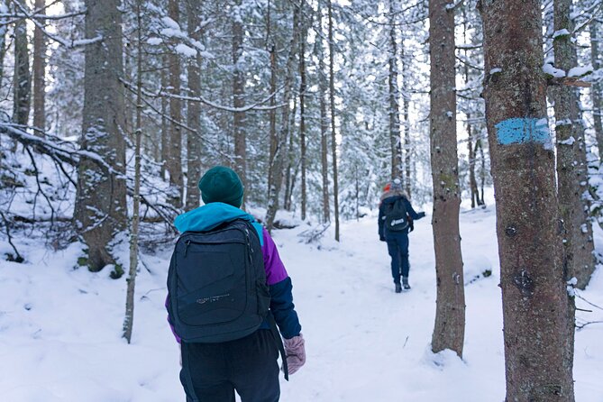 4 hours Best View of the Oslofjord Winter Edition - Returning by metro to central Oslo