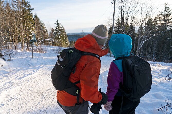4 hours Best View of the Oslofjord Winter Edition - What the $107.17 price really buys