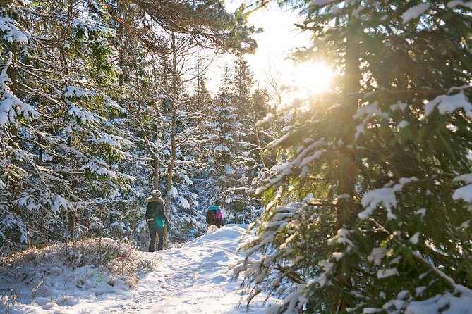4 hours Best View of the Oslofjord Winter Edition - Who should book this Vettakollen outing
