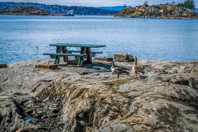 4 Hours Island Hopping Tour in Oslo - Gressholmen: Birdlife and an Island Pub