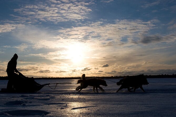 4hr Dog Sledding Tour under the Northern Lights - What the $381.43 price includes