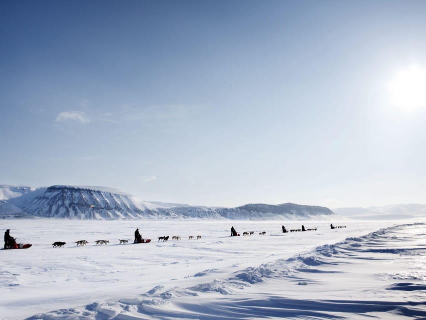 4hr Dog Sledding Trip on Finnmarksvidda - Warming up at historic Gargia Mountain Lodge