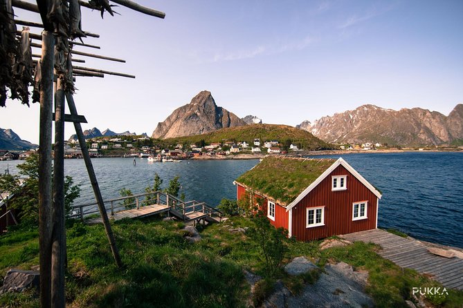 5 Highlights Of Lofoten From Svolvær - Why this six-hour trip works from Svolvær