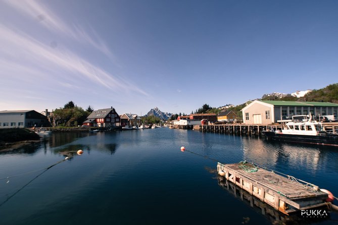 5 Highlights Of Lofoten From Svolvær - Haukland Beach, white sand and cold water