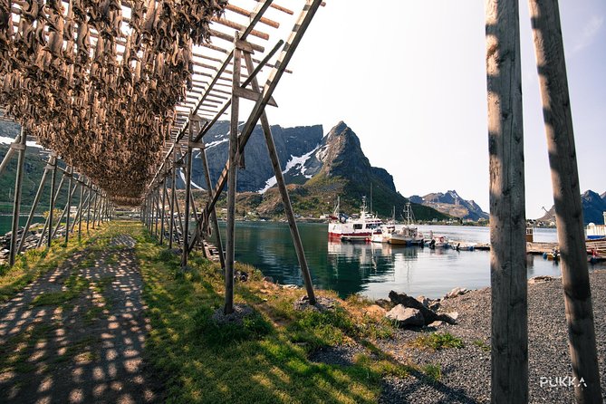 5 Highlights Of Lofoten From Svolvær - Kabelvåg Church and the story of cod