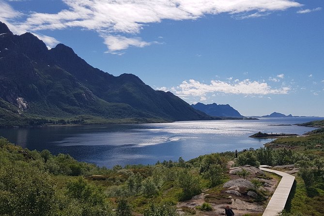 7day - Private tour of Norway/ Lofoten and Tromso - Beaches, Viking history, and Henningsvær