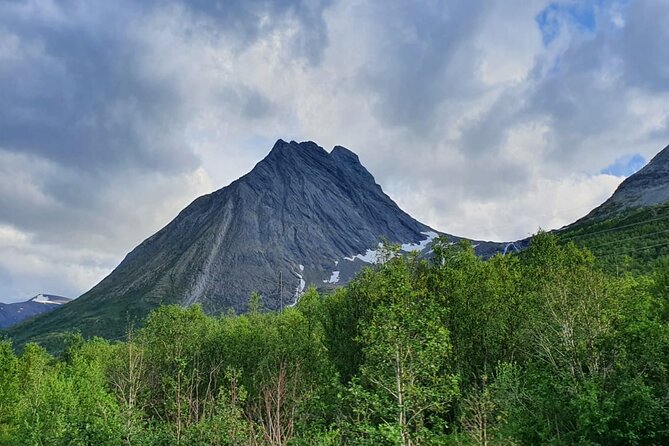 7day - Private tour of Norway/ Lofoten and Tromso - The final morning in Tromsø