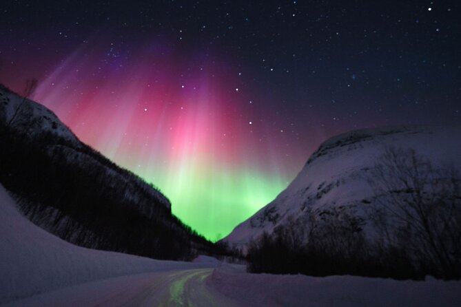 Adults Only Aurora Hunt with Wandering Owl - Kilpisjärvi: a longer chase across the Finnish border