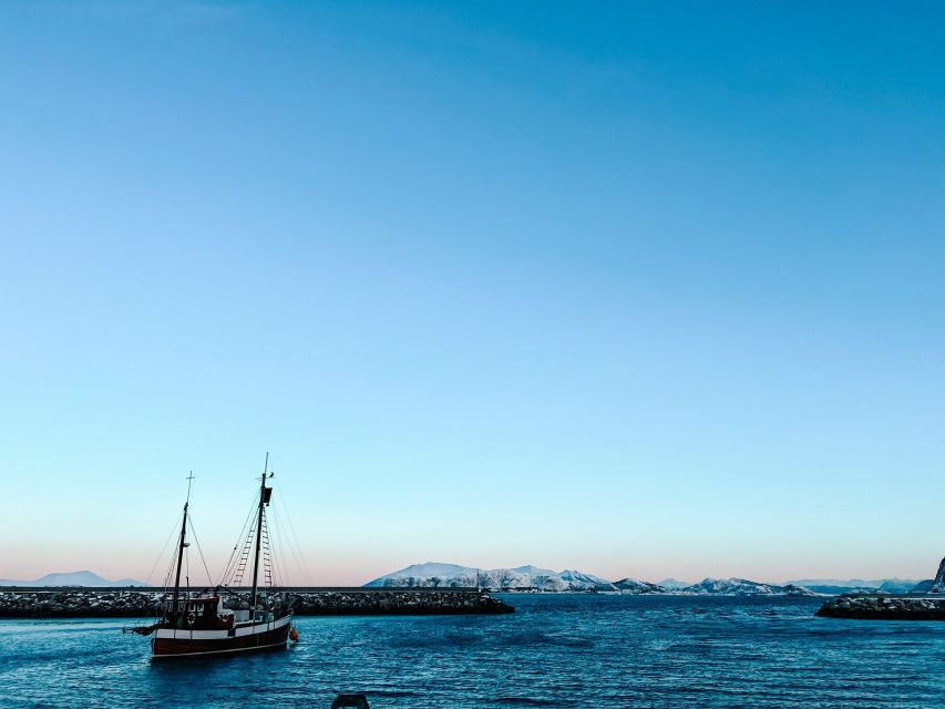 Ålesund: Ålesund and Surrounding Islands Audio Guide Tour - Godøya viewpoint and the Giske story