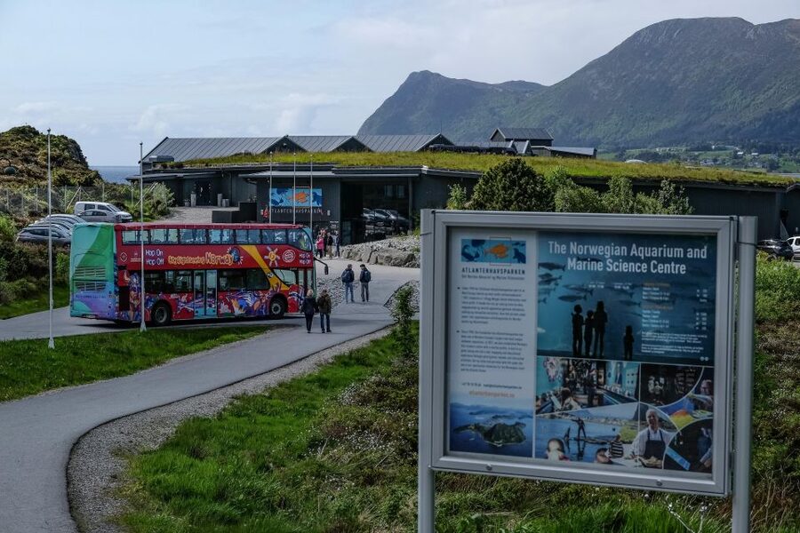 Alesund: City Sightseeing Hop-On Hop-Off Bus Tour - Stop 5 near the tourist information office