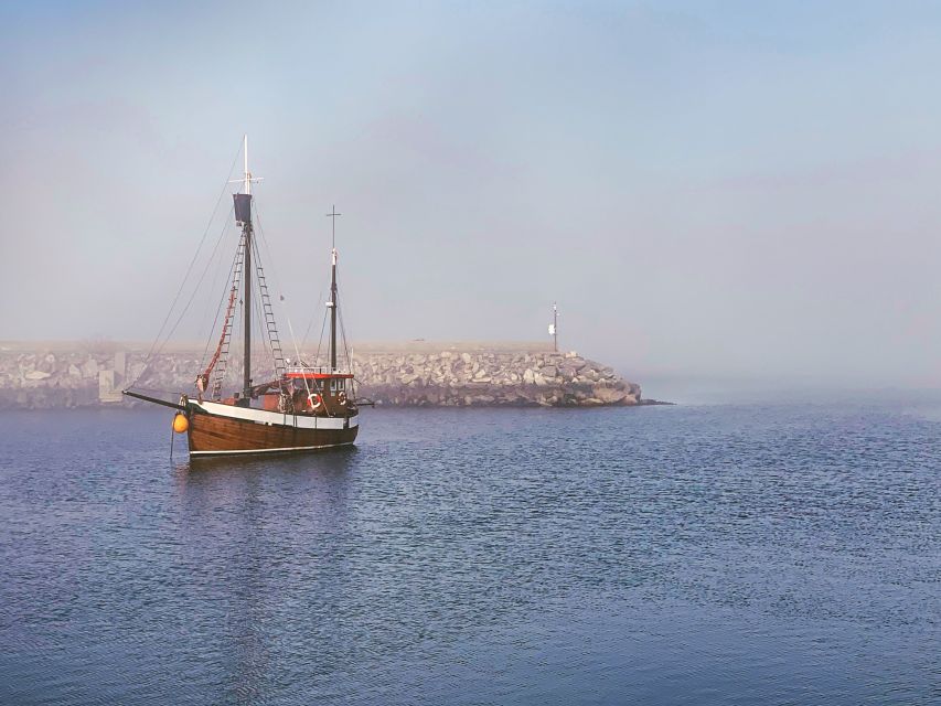 Alesund: Private Tour to the Viking Islands - What the private vehicle adds