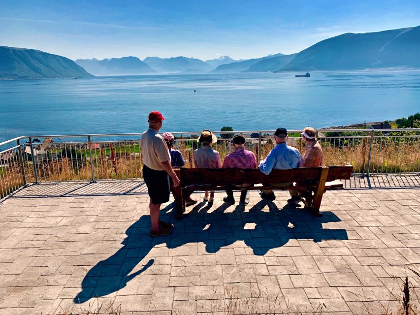 Alesund: Private Tour to the Viking Islands - Who will enjoy this route most?
