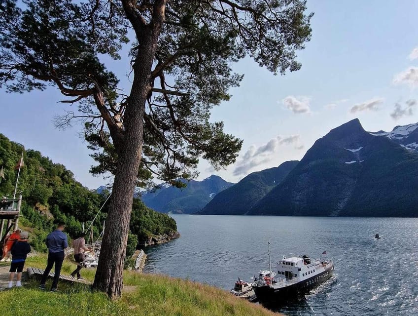 Ålesund-Trandal fjord tour with 3 hours stop at Trandal - Five useful things to know before you go