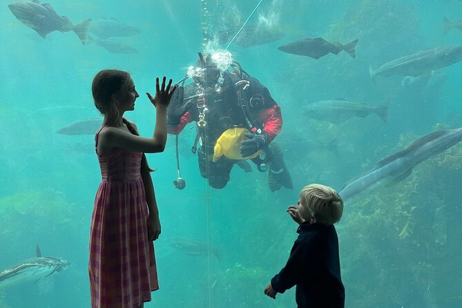 All Alesund Highlights in one tour - Atlantic Sea-Park and cold-water creatures