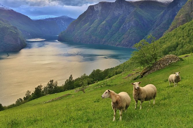 ALL ELECTRIC: Emission free tour to the World Heritage Fjords, 13 hours - Why this electric fjord route is different