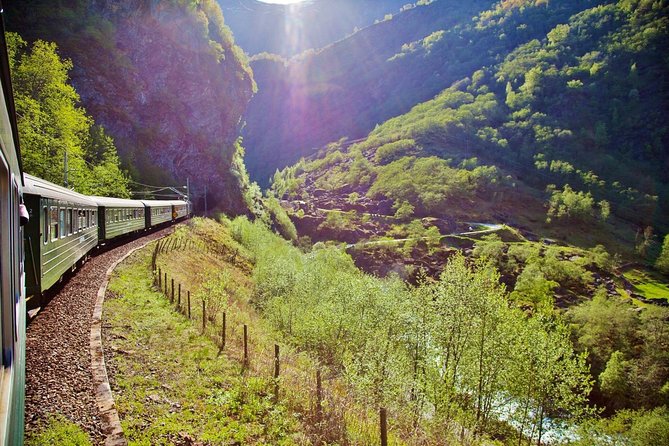 ALL ELECTRIC: Emission free tour to the World Heritage Fjords, 13 hours - From Bergen to Dale, Voss, and Tvindefossen