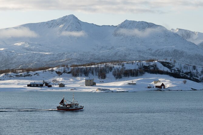 All-Inclusive Arctic Fjords and Sommarøy Scenic Tour - Key details before you book