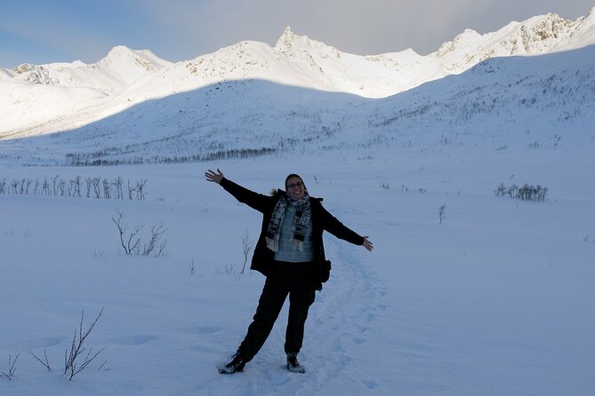 All-Inclusive Arctic Fjords and Sommarøy Scenic Tour - Is $220.77 good value?