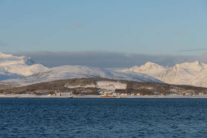 All-Inclusive Arctic Fjords and Sommarøy Scenic Tour - Weather, cancellations, and the best type of visitor
