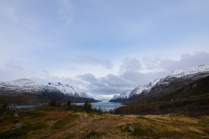 All-Inclusive Arctic Fjords and Sommarøy Scenic Tour - Riding the Mercedes Sprinter around Kvaløya