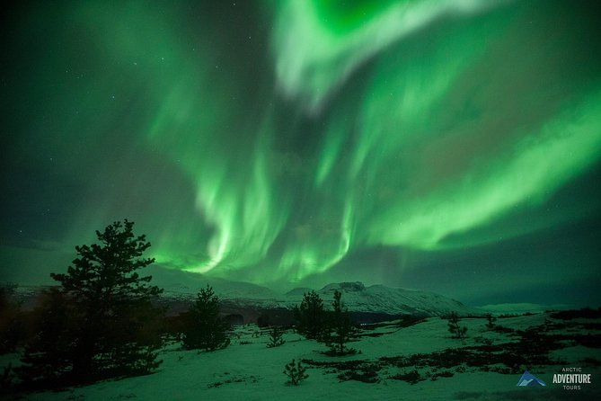 All inclusive - Northern Lights Hunt - Meeting at Scandic Ishavshotel at 5:30 pm