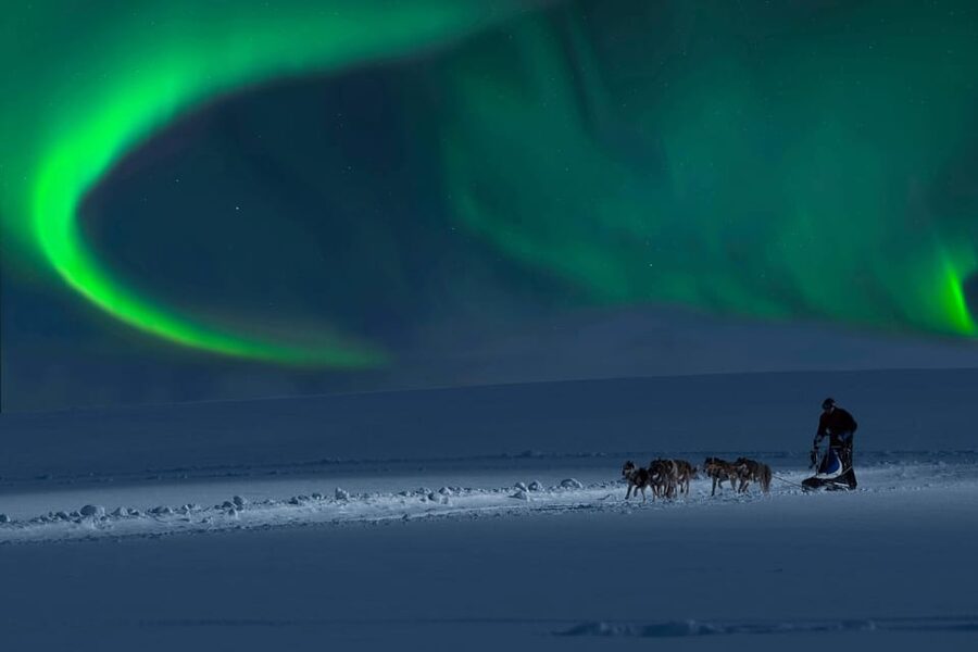 Alta: Dog Sledding Trip under the Northern Lights - Gargia lodge, coffee, and Arctic stories