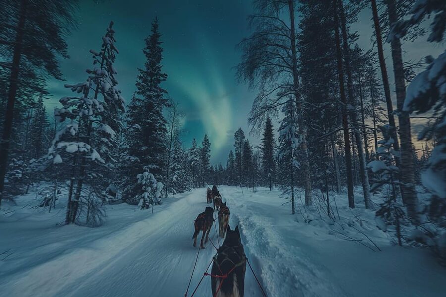 Alta: Dog Sledding Trip under the Northern Lights - Chasing the Northern Lights, with realistic expectations