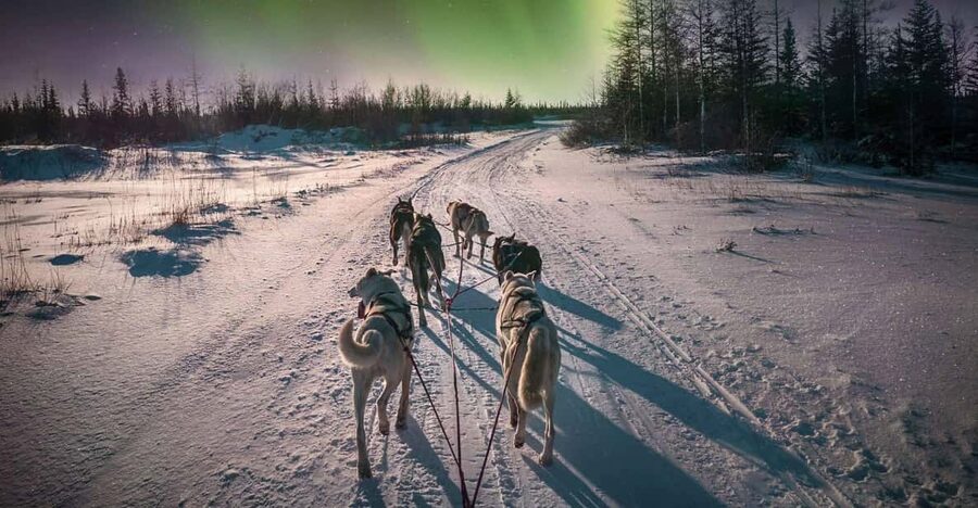 Alta: Dog Sledding Trip under the Northern Lights - Getting dressed for the Arctic cold