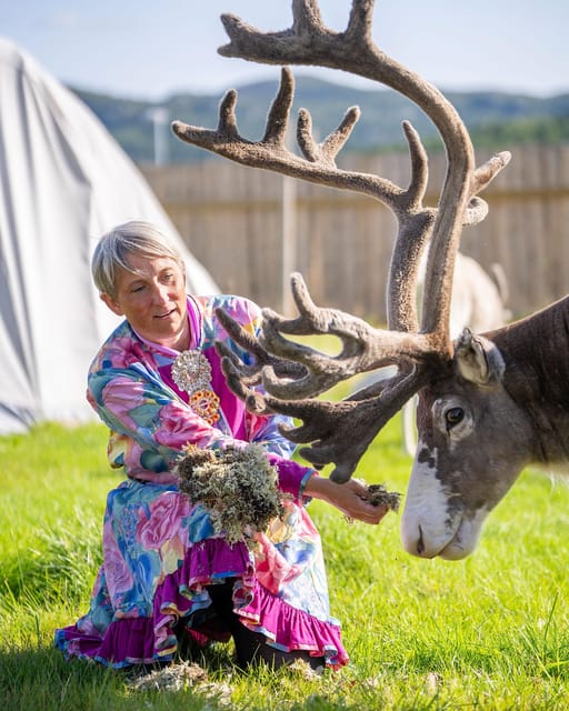 Alta: Reindeer - A carrier of Sámi Culture - Why reindeer matter in Sámi culture