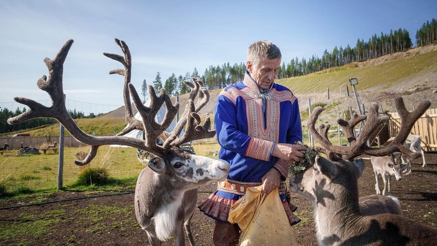 Alta: Reindeer - A carrier of Sámi Culture - Meeting the reindeer up close