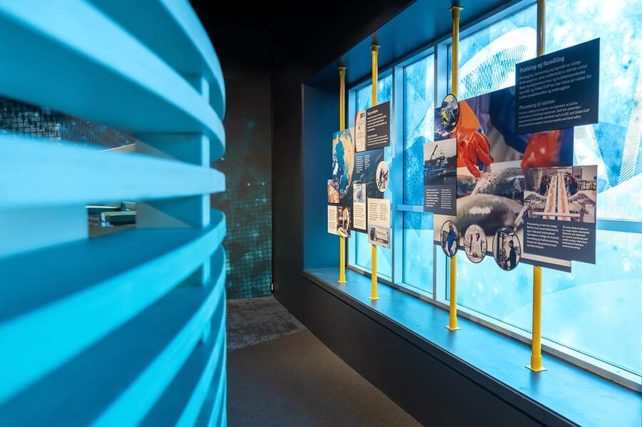 Alta's most iconic sights. Day tour. - Alta Museum and 7,000 years of rock art