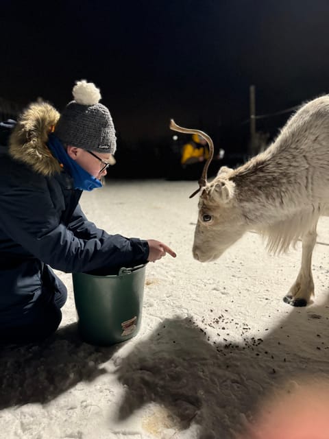Alta: Sami Cultural Experience with Lavvu and Reindeers - Is $146 a Fair Price?