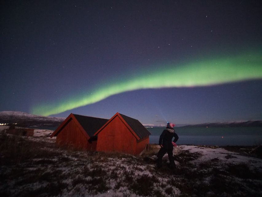 Alta: Small-Group Guided Northern Lights Tour - Why Alta is a strong base for an Aurora hunt