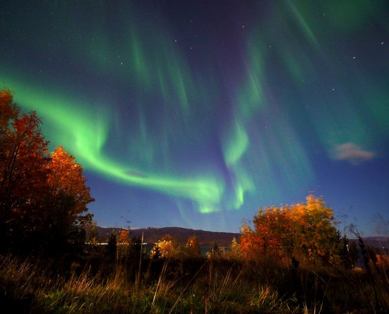 Alta: Small-Group Guided Northern Lights Tour - What you actually do at each viewing stop
