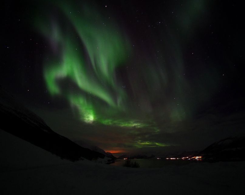 Alta: Small-Group Guided Northern Lights Tour - Who should book, and who should reconsider